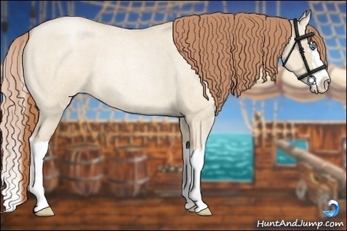 Horse Color:Smoky Grullo Roan Pearl Splash 