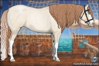 Horse Color:Smoky Grullo Roan Pearl Splash 