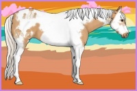 Horse Color:Silver Bay Roan Splash Tobiano Frame 