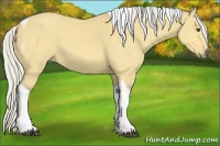 Horse Color:Silver Buckskin Dun Tobiano 