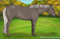 Horse Color:Silver Black 