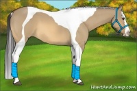 Horse Color:Buckskin Roan Dun Splash Tobiano 