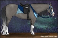 Horse Color:Grullo Roan Sabino Splash