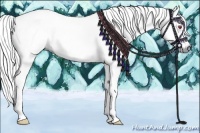 Horse Color:Chestnut Chinchilla 