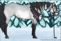 Horse Color:Bay Chinchilla 