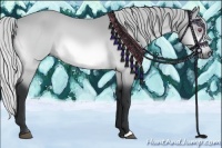 Horse Color:Silver Buckskin Chinchilla 