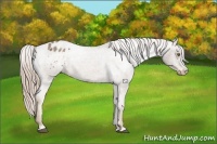 Horse Color:Chocolate Palomino Roan Varnish 