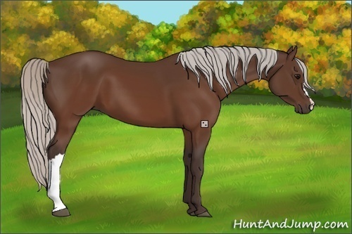 Horse Color:Silver Brown 