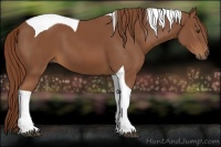 Horse Color:Chestnut Tobiano 