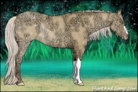 Horse Color:Silver Amber Champagne Ice Dun Rabicano