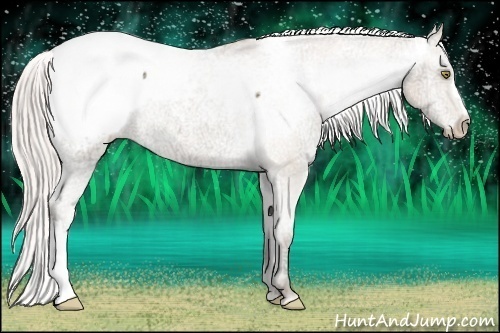 Horse Color:Silver Amber Champagne Ice Snowcap Rabicano 