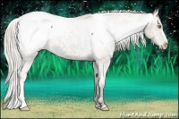 Horse Color:Silver Amber Champagne Ice Snowcap Rabicano
