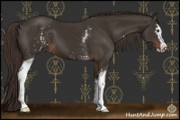 Horse Color:White Spotted Liver Chestnut Sabino