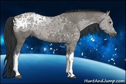 Horse Color:Grullo Ice Rabicano