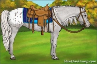 Horse Color:Silver Black Appaloosa 