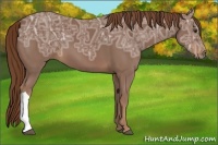 Horse Color:Chestnut Ice 