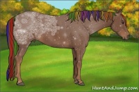 Horse Color:Painted Chestnut Ice
