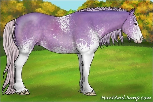 Horse Color:Watercolor White Spotted Silver Black Sabino 