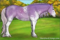 Horse Color:Watercolor White Spotted Silver Black Sabino