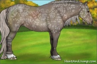 Horse Color:Silver Black Ice 