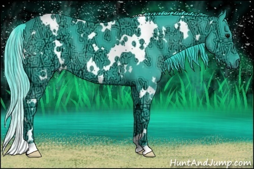 Horse Color:Watercolor White Spotted Black Ice 