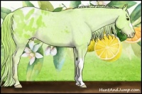 Horse Color:Watercolor Liver Chestnut Blanket 