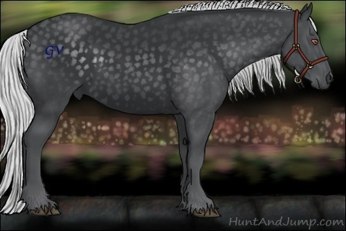 Horse Color:Silver Black Chinchilla 