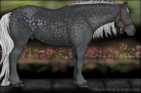 Horse Color:Silver Black Chinchilla 