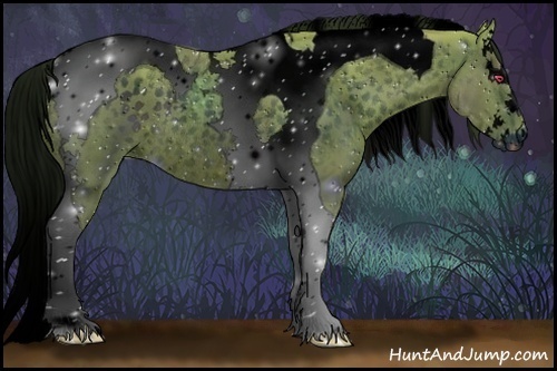 Horse Color:ERROR: UNKNOWN ANOMALY