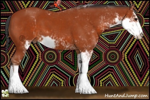 Horse Color:Bay Sabino 