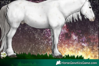Horse Color:Brown Sabino 