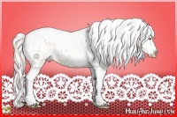 Horse Color:Silver Bay Roan Dun Splash Tobiano Appaloosa Rabicano 