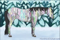 Horse Color:Blue Ice Roan Rabicano 