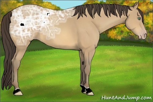 Horse Color:Amber Cream Champagne Ice