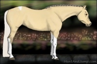 Horse Color:Silver Buckskin Dun Tobiano 