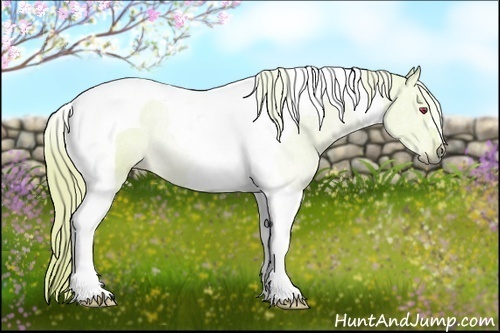 Horse Color:Watercolor Liver Chestnut Chinchilla Tobiano 