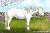 Horse Color:Watercolor Liver Chestnut Chinchilla Tobiano 