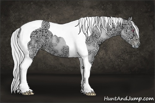 Horse Color:Silver Black Chinchilla Ice Pearl Tobiano