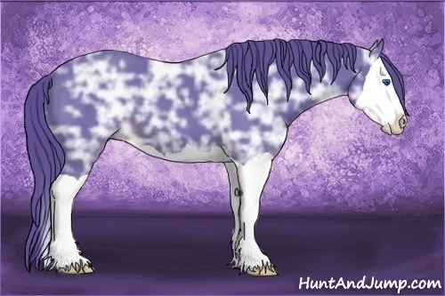 Horse Color:Watercolor Liver Chestnut Ice Splash 