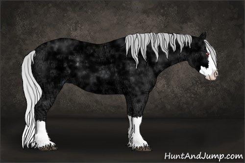 Horse Color:Silver Black Chinchilla Ice Sabino Splash 