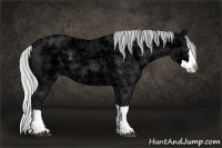 Horse Color:Silver Black Chinchilla Ice Sabino Splash