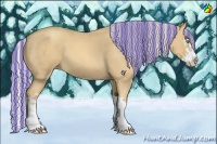 Horse Color:Painted Gold Cream Champagne Roan Splash