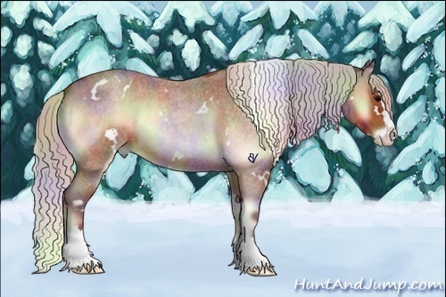 Horse Color:Nacre White Spotted Silver Bay Roan Onyx Splash 