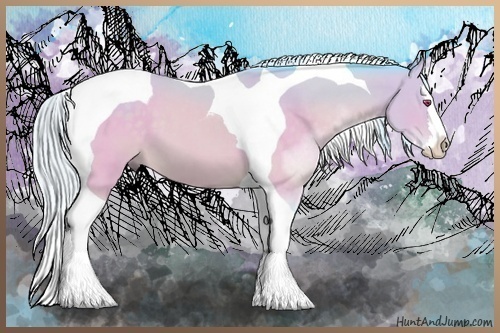 Horse Color:Watercolor Silver Brown Chinchilla Splash Tobiano 