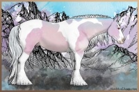 Horse Color:Watercolor Silver Brown Chinchilla Splash Tobiano 