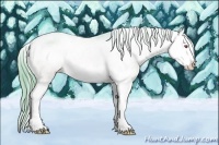 Horse Color:Watercolor Bay Chinchilla Splash Appaloosa Rabicano 