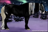 Horse Color:Watercolor White Spotted Liver Chestnut 