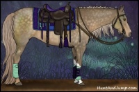 Horse Color:Chocolate Palomino 