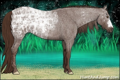 Horse Color:Liver Red Ice Roan
