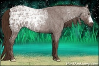 Horse Color:Liver Red Ice Roan 